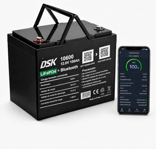 DSK Batería LiFePO4 12V 100Ah (1280Wh) con Bluetooth, BMS y LCD – protección a baja temperatura para autocaravana, energía solar, barco y SAI