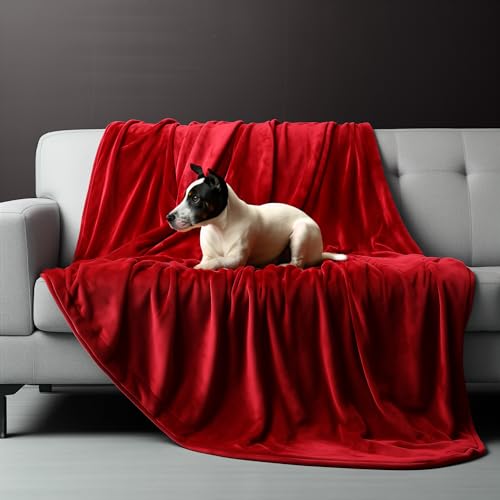 King Size Waterproof Blanket, Spill-Proof, Stain Proof, Water Proof & Mess-Free Cozy Flannel Splash Blanket, Reversible & Oversize (Passion Red & Midnight Black, 90x108)