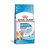 Ração Royal Canin Mini Indoor Junior Cães Filhotes 1Kg Royal Canin Filhotes - Sabor Outro