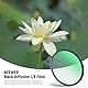 NEEWER 43mm Black Diffusion 1/8 Filter Schwarze Diffusion Träumerischer Kinoeffekt Ultradünner Kameraobjektivfilter/Wasser&Kratzfestes/Optisch HD Glas/30 Schichten Nanobeschichtungen
