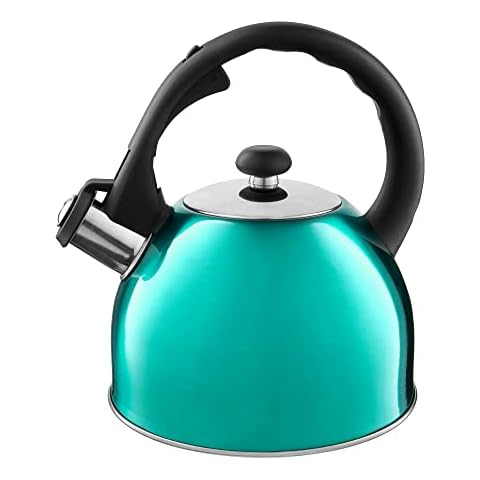 Domotti Wasserkessel Bennet 1,5 L türkis schwarz silber Teekessel Wasserkessel Wasserkocher Flötenkessel Pfeifkessel alle Herdarten Induktion Stahl Kunststoff Cover