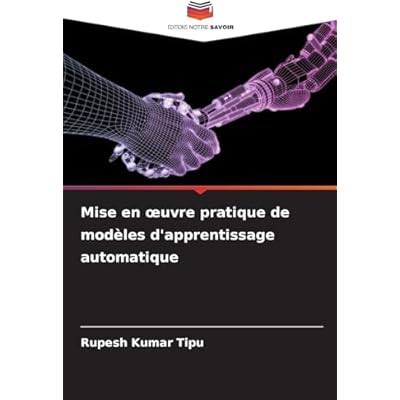 Mise en oeuvre pratique de mod&egrave;les d'apprentissage automatique