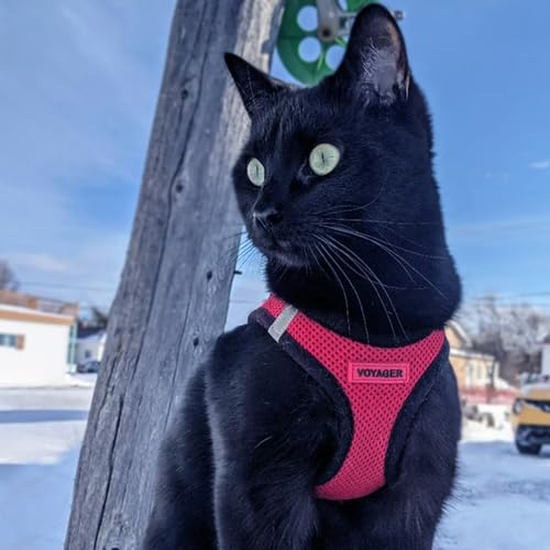 Best Pet Supplies Voyager Step-in Air All Weather Mesh Harness and Reflective Dog 5ft Leash Combo with Neoprene Handle, for Small, Medium and Large Breed Puppies - Red/Black Trim, Medium by Best Pet Supplies - Image 7