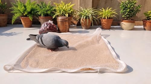 Image of Kuvru (Pack of 1) Cotton Drying Cloth with Net, Off White, 73 x 91 cm, Breathable, Washable, Reusable, for Papad, Vadagam, Spices, Millets and to Dry Mango for Pickle