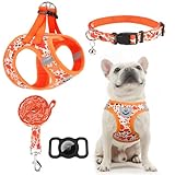 EXPAWLORER Thanksgiving Autumn Puppy Harness - Dog Collar and Leash - Soft Mesh Padded Adjustable Step in Small Dog Vest Harness No Pull, Reflective Escape Proof for Outdoor Walking, Orange M