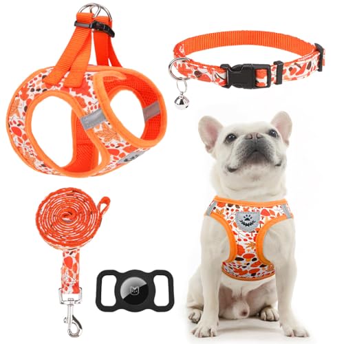EXPAWLORER Thanksgiving Autumn Puppy Harness - Dog Collar and Leash - Soft Mesh Padded Adjustable Step in Small Dog Vest Harness No Pull, Reflective Escape Proof for Outdoor Walking, Orange M
