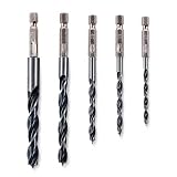 Lotus Set di 5 punte per trapano per legno con gambo esagonale, punte per trapano a punta conica, gambo a sgancio rapido da 1/4", dimensioni 4/5/6/8/10 mm, lotto F1735