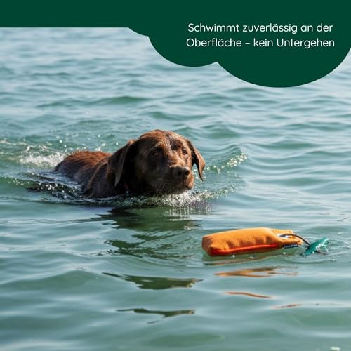 Romneys Suchen Dummy - Der Mini-Dummy für kleine Hunde 100g - Der Pocketdummy ist schwimmfähig und mit Wurfgriff (orange)