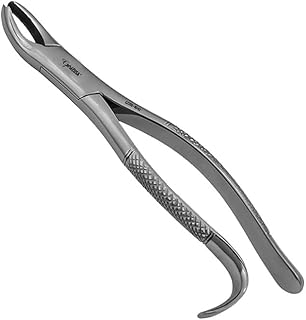 American Forceps, Lower Molars, Right No. 18R