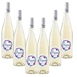 Alegrías by LaurAna - Vino Frizzante - Vino de la Tierra de Castilla- 6 botellas x 750 ml