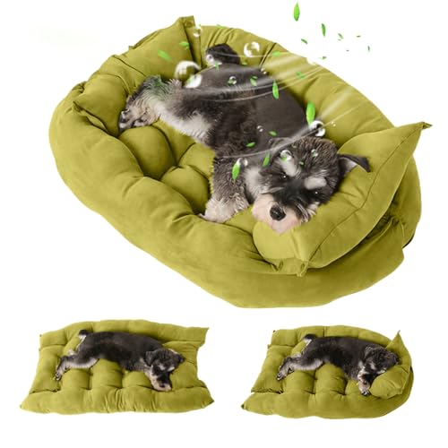 PETCUTE Cuccia Cane Interno Estiva, Letto per Cani Taglia Grande, Cuscino per Cane Gatto,Tre forme,Materassino per Animali Domestici Lavabile in Lavatrice Verde chiaro S