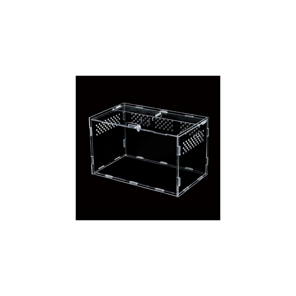 Terrarium pour Reptiles, Boîte d&rsquo;élevage en Acrylique pour Reptiles et Insectes à Domicile, 30 × 20 × 15cm