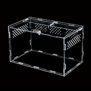 Terrarium pour Reptiles, Boîte d&rsquo;élevage en Acrylique pour Reptiles et Insectes à Domicile, 30 × 20 × 15cm