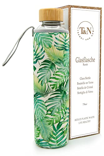 T&N Borraccia in vetro da 750 ml, con custodia in neoprene, da 0,75 l, a prova di perdite, in vetro borosilicato spesso adatto per anidride carbonica