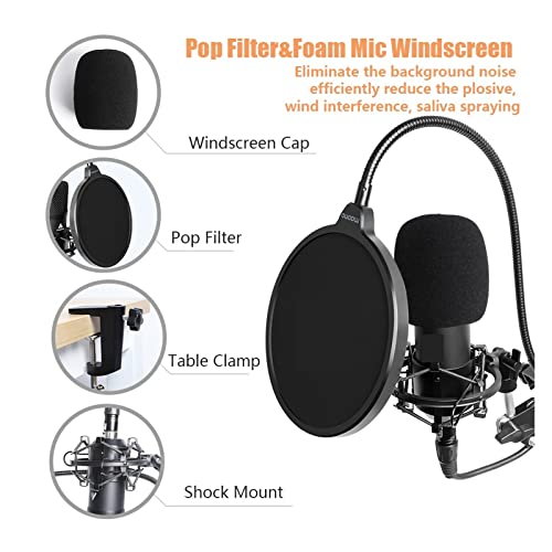 Microphone studio XLR cardioïde haute fidélité pour enregistrement