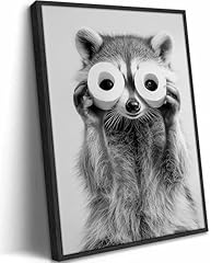 Framed Raccoon