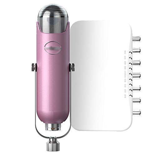 Live-Ausrüstung Soundkarte Set Universal Anker Rufen Weizen Singen Sonder Artifact Mikrofon Mikrofon (Color : B)