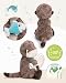 Imagen de NICI 62648 Peluche de Nutria con Pez de Oda de Peluche Suave de Peluche Lindo para Acurrucar y Jugar para Niños y Adultos Gran Idea de Regalo 35cm Gris