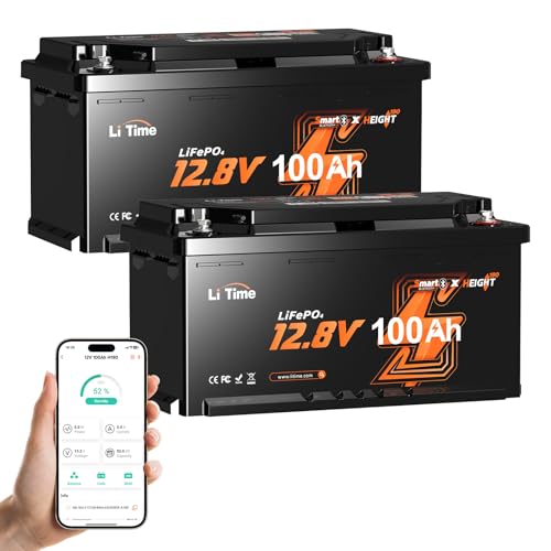 LiTime Batterie Lithium LiFePO4 12V 100Ah H190 avec Bluetooth pour Sièges de Camping-Cars Européen: DIN H8 L5, 4000-15000 Cycles Profonds, Parfait pour Caravanes RV, Fourgons