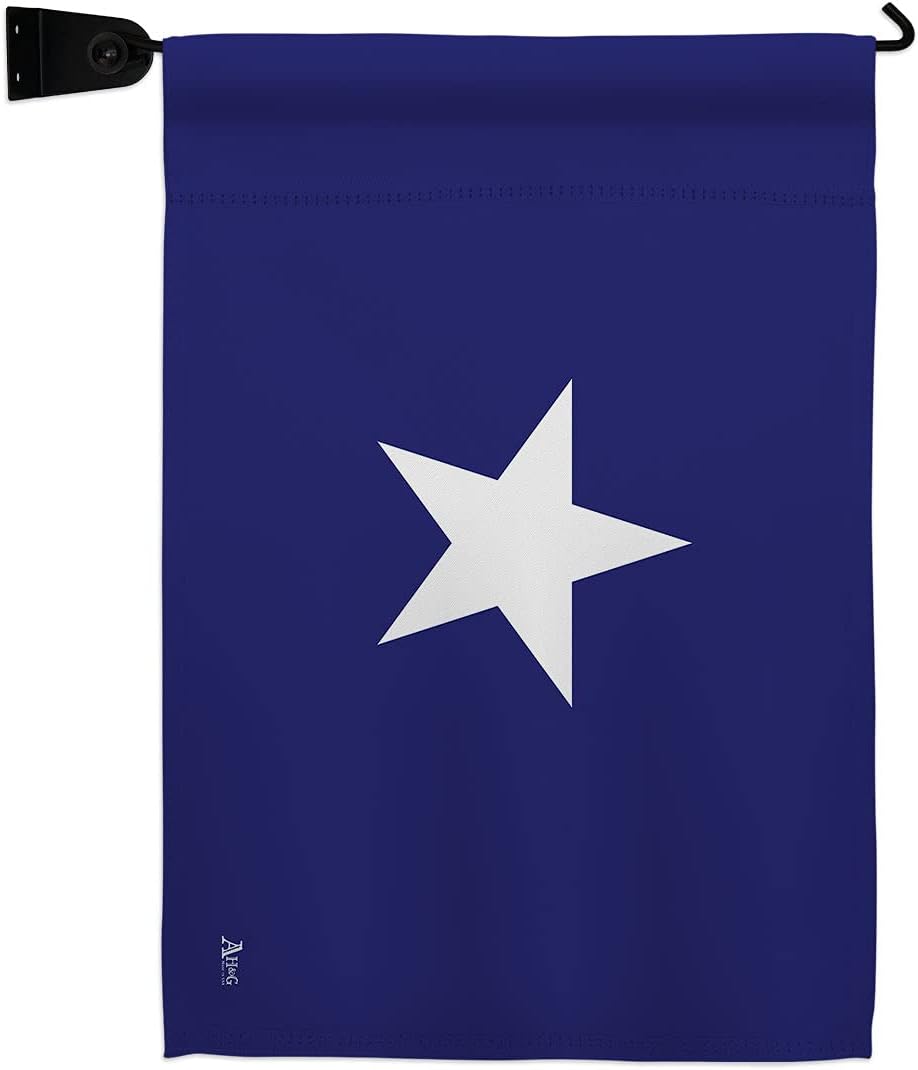 Bonnie Blue Garden Flag Set with Stand Americana US Historic July Memorial Veteran Independence United State American Small Decorative Gift Yard House Banner Made In USA 13 X 18.5