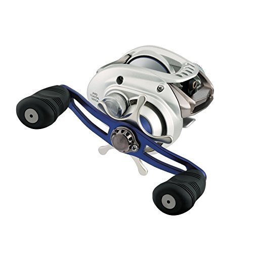 Daiwa - Fishing Reel Aird Coastal 100 Hla