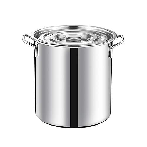 Olla cocinar, Olla Acero Inoxidable, Olla estofado, Olla Acero Inoxidable con Tapa, Olla Verduras, conducción rápida del Calor Todas Las Estufas, tamaño 10