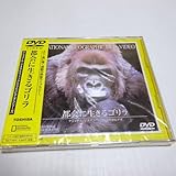未開封DVD「都会に生きるゴリラ」ナショナル・ジオグラフィック/動物園/飼育方法