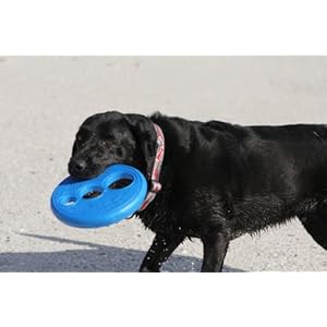 Rogz Flying Object Disc Dog Toy Blue  Cucciolini Doodles Rogz flying object disc dog toy blue   cucciolini doodles