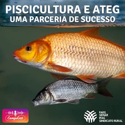 Piscicultura e ATeG - Uma parceria de sucesso