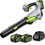 Adedad – Akku Laubbläser 21V mit 2x4,0AH Akkus, 850m³/h Stufenlose Dr