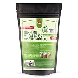 Pampered Chicken Mama Non-GMO Wheat Seeds for Sprouting Fodder 3 pounds
