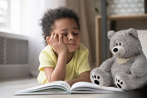 Hollyhome Teddy Bear Stuffed Animals Soft Baby Bear Plush Gifts For Kids 14 Inch Gray #TOP2
