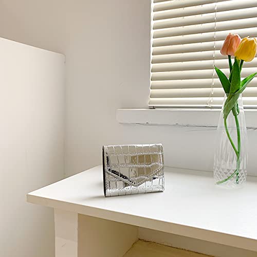 2023 fashion wallet European and American style card bag female cross-border trend multicolor bright versatile tide (Silver)3