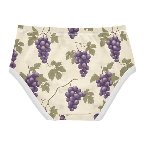 Vintage Grape Pattern Toddler Girls's Underwear 2T 202c11292
