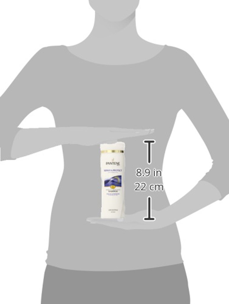 Pantene Pro-V Repair & Protect Shampoo, 12.6 Fl Oz (Pack of 6)