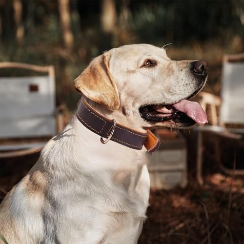Strapazierfähiges Leder-Hundehalsband, echt gepolstert und handgefertigt für mittelgroße, große und XL-Rassen, Dickes, bequemes Design, Starke weiche Haltbarkeit (Braun,L)