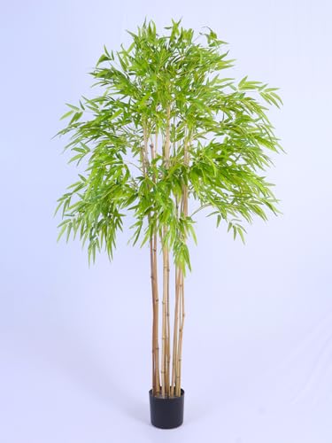 Image of ARICK DECOR 6Ft Artificial Bamboo Tree in Pot, 6ft Realistic Faux Bamboo Silk Plant with Natural Look Canes, Peacock Shaped Floor Decor for Home, Office & Balcony