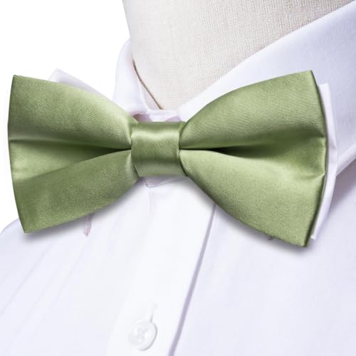 Image of Dubulle Mens Paisley Striped Bowtie Set Pre-tied Bowtie for Men and Pocket Square Set Wedding Business