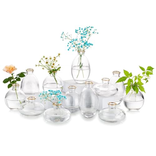 Glass Bud Vase for Centerpieces: 12Pcs Glasseam Gold Rim Mini Small Vases for Flowers Bulk Flower Vase Set Aesthetic Cute Handmade Tiny Short Wedding Table Centerpiece Decor