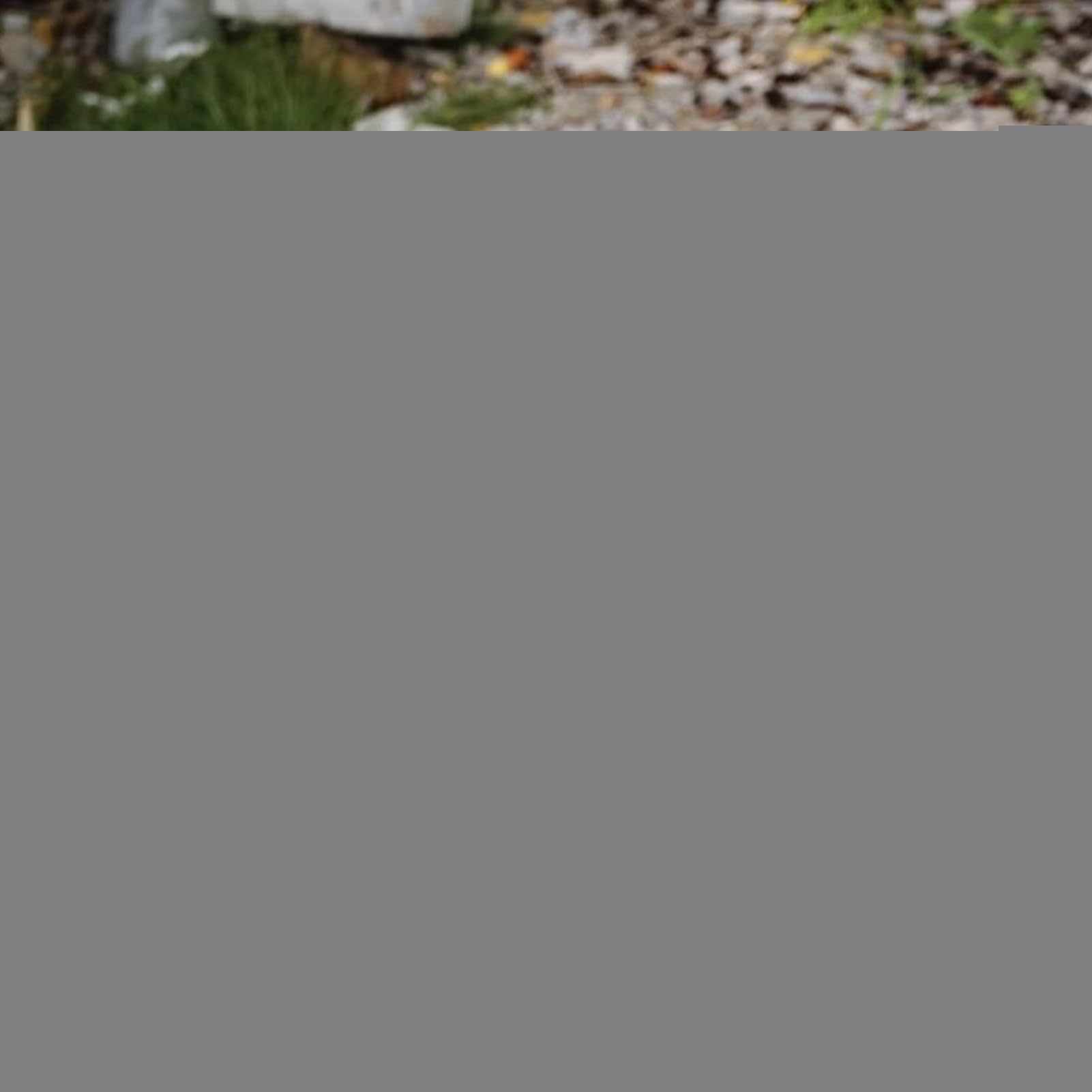 Camping-Kochset, Outdoor-Kochtopf-Kit, tragbare Überlebensausrüstung, leichtes und starkes Design, kompakt, ideal für Erwachsene, Familie, Wandern, Reisen, Picknick, Hinterhof-Abenteuer