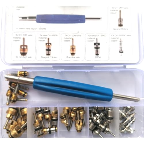 SIO Surtido de Obuses para Aire Acondicionado Coche – Kit Profesional de Válvulas de Servicio R134a – Incluye Extractor de Obuses y Destornillador – Reparación Fugas A/C Automoción, Taller SAT