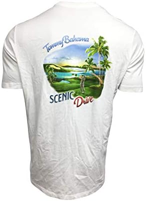 hilfiger skinny jeans mens