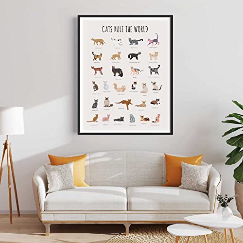 Cat Breed Wall Art, Vintage Cats Knowledge Wall Decor, Cute Kitty Poster, Gifts For Cat Lover, Pet Art Print For Bedroom Nursery Room Decor, Cat Owner Gift, Unframed Cat Artwork, 11X14 #TOP5