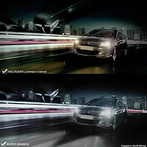 Lâmpada Super Branca Automotiva Halógena Tonalidade 4300K H16 12V 24W PSX24W Shocklight SL-120016SBB