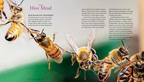 image for Storey Publishing, LLC QueenSpotting: Meet the Remarkable Queen Bee an