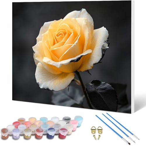 Paint by Numbers KN G 80x60 cm, l h DIYG fW^G  io[yCg S҂Ƒl - KpΏ CeA Ǐ z[fR[V -hjw2501088