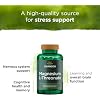 Swanson Magnesium L-Threonate Brain and Cognitive Health Supplement for Professionals Seeking Mental Clarity - 96 mg Magnesium per Serving (90 Vegan Capsules)