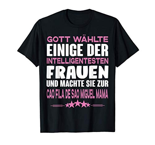Monge katzenfutter test