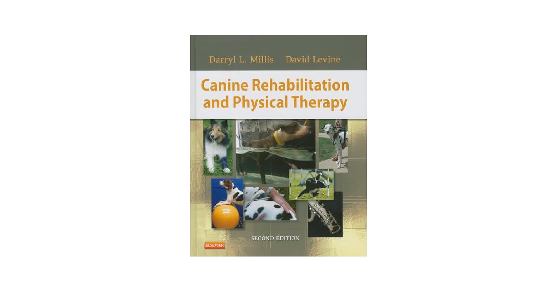 Canine rehabilitation 犬のリハビリテーション　希少本 Canine rehabilitation 犬のリハビリテーション希少本