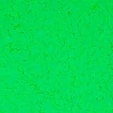 The Original Color Chips 1/4' Blacklight Sensitive Neon Decorative Floor Coating Flakes for Epoxy Flooring - Vibrant UV Reactive Colors - Ideal for Garages, Basements, and More - 1 Pound (Neon Green)